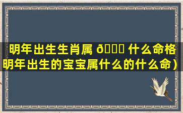 明年出生生肖属 🐒 什么命格（明年出生的宝宝属什么的什么命）